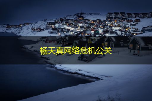 雄安新区杨天真网络危机公关