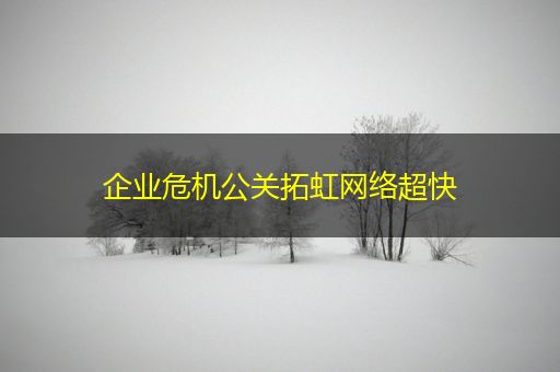 龙口企业危机公关拓虹网络超快