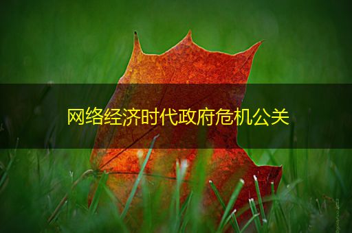 昌吉网络经济时代政府危机公关