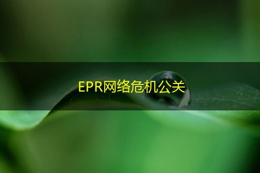 邹平EPR网络危机公关