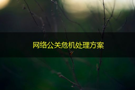 芜湖网络公关危机处理方案