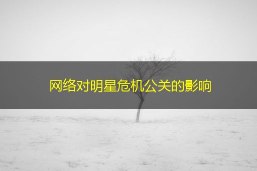 漳浦网络对明星危机公关的影响