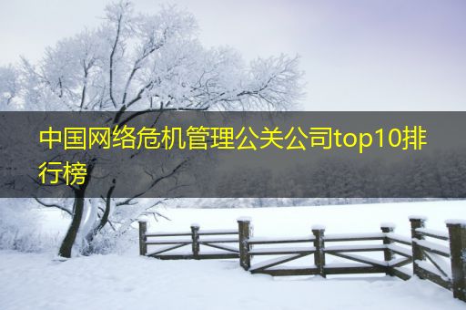 西宁中国网络危机管理公关公司top10排行榜