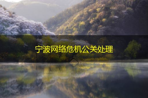 芜湖宁波网络危机公关处理