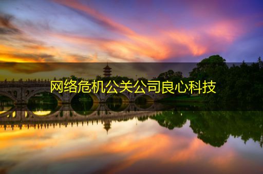 沧县网络危机公关公司良心科技