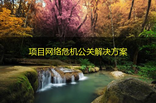桂林项目网络危机公关解决方案