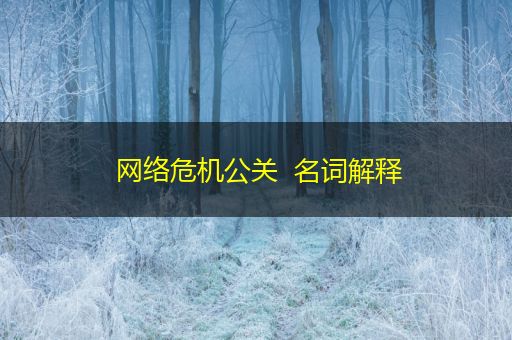 沈丘网络危机公关  名词解释