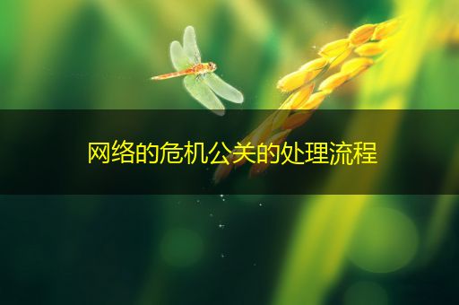 邵阳县网络的危机公关的处理流程