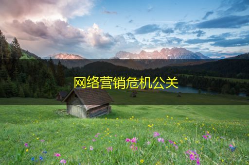 内蒙古网络营销危机公关