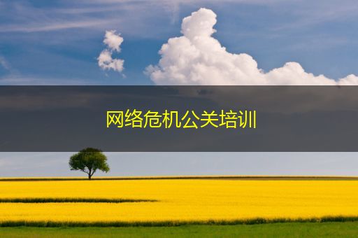 邵阳县网络危机公关培训