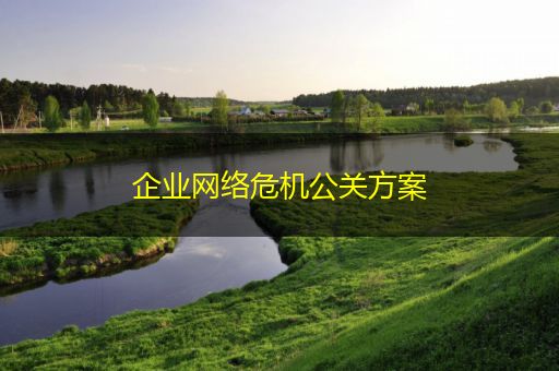 武义县企业网络危机公关方案