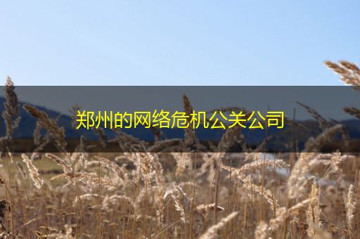 宿州郑州的网络危机公关公司