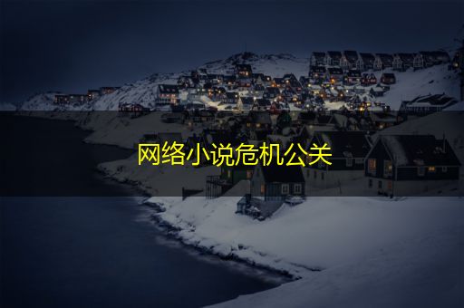 阳谷网络小说危机公关