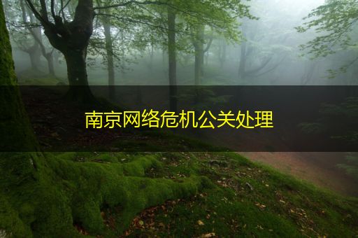 忻州南京网络危机公关处理