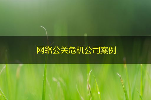 吴忠网络公关危机公司案例
