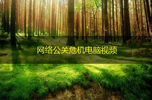 莒县网络公关危机电脑视频