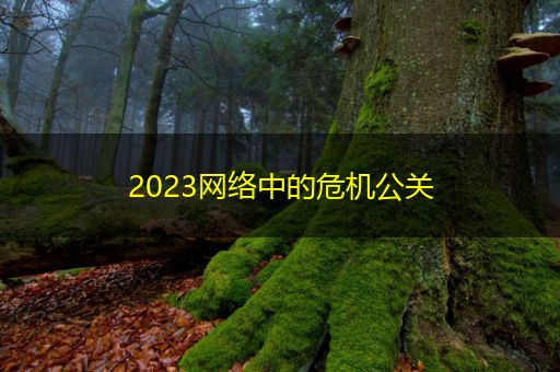 咸宁2023网络中的危机公关