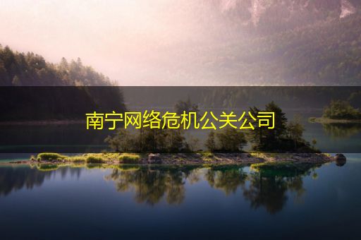 丰城南宁网络危机公关公司
