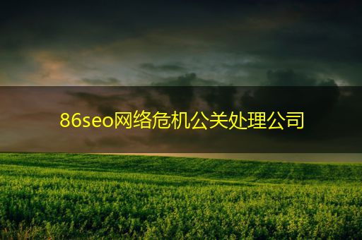 荆门86seo网络危机公关处理公司