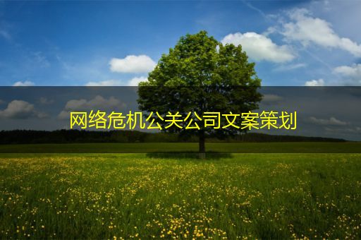 丽江网络危机公关公司文案策划