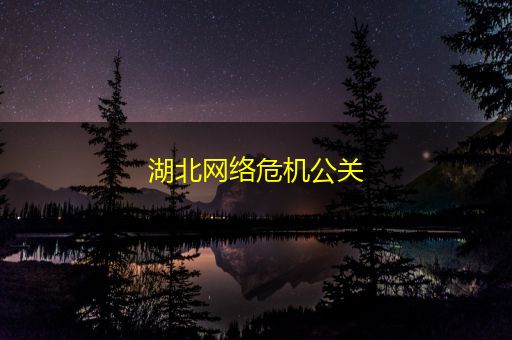 武义县湖北网络危机公关