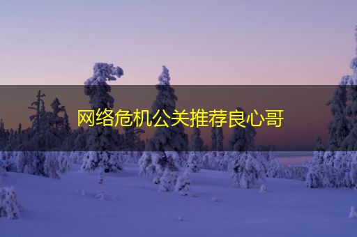 肇东网络危机公关推荐良心哥