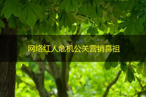 温县网络红人危机公关营销鼻祖