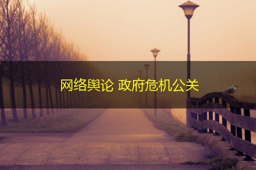 广饶网络舆论 政府危机公关