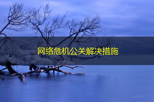 邵阳县网络危机公关解决措施