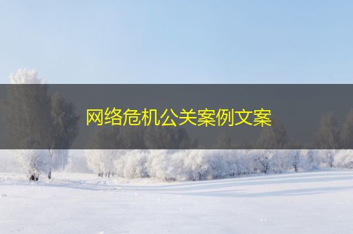昌邑网络危机公关案例文案