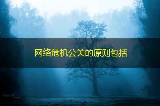 湘潭网络危机公关的原则包括