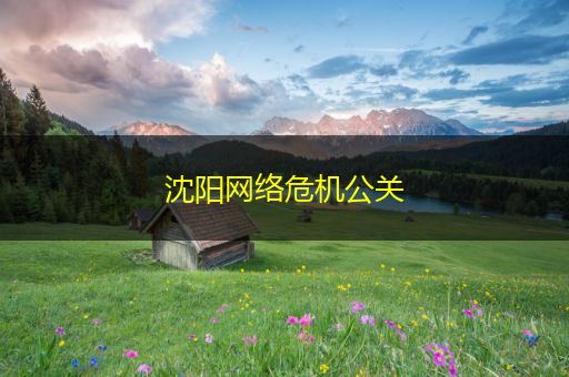 铜川沈阳网络危机公关