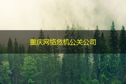 兰考重庆网络危机公关公司