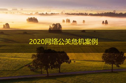 辽阳2020网络公关危机案例