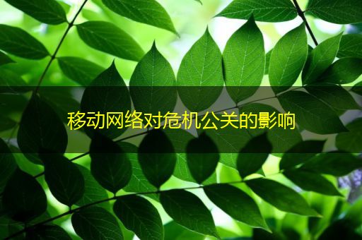 邵阳县移动网络对危机公关的影响