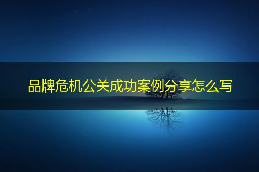 赵县品牌危机公关成功案例分享怎么写