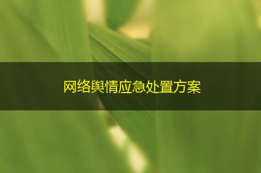 天津网络舆情应急处置方案