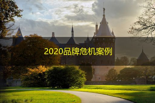 湛江2020品牌危机案例