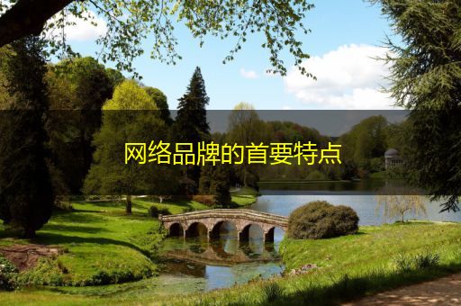 涿州网络品牌的首要特点