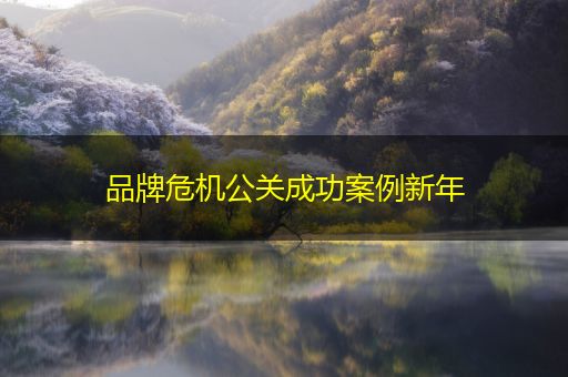 河南品牌危机公关成功案例新年