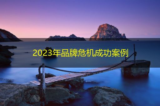 莘县2023年品牌危机成功案例