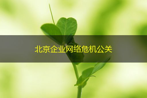 潜江北京企业网络危机公关