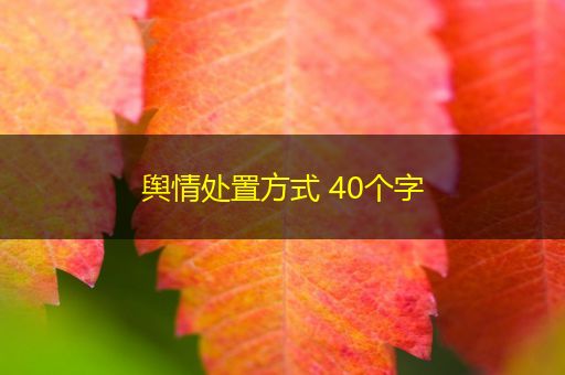 中国澳门舆情处置方式 40个字