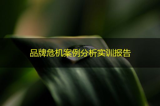 阳江品牌危机案例分析实训报告