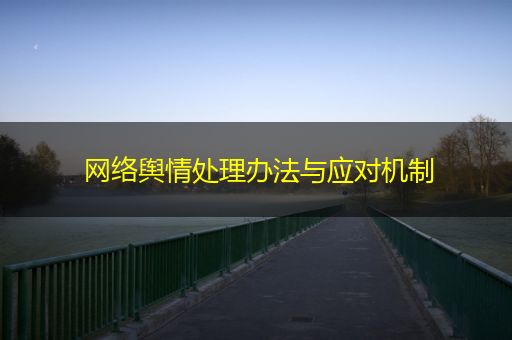 杭州网络舆情处理办法与应对机制
