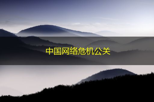安溪中国网络危机公关