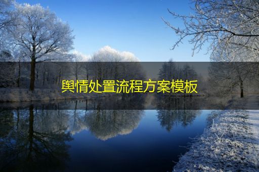 台州舆情处置流程方案模板