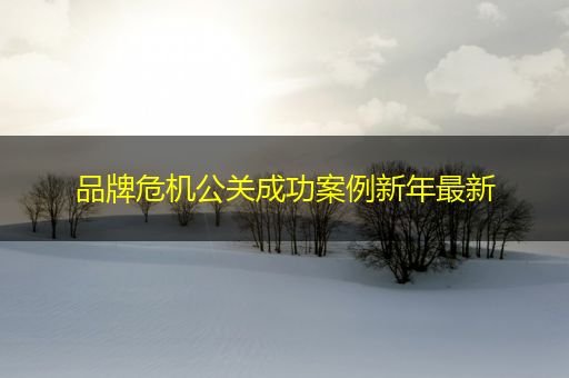 姜堰品牌危机公关成功案例新年最新