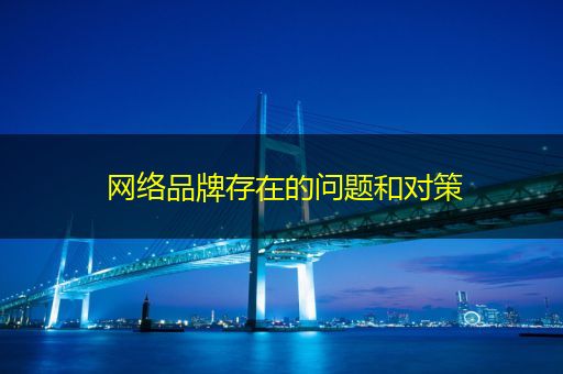 蚌埠网络品牌存在的问题和对策