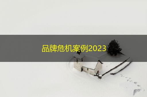 邓州品牌危机案例2023